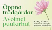Nimetön tapahtuma